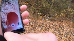 Ротан "силиконовый" в октябре.mp4