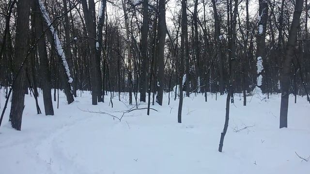 Хаски Утя и три белки смотреть онлайн