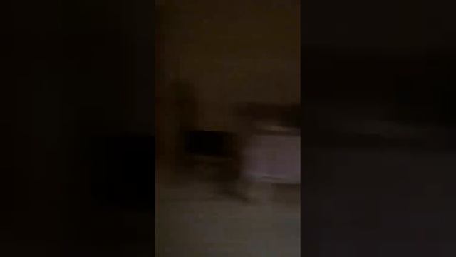 Баня Квадро овал 4х6 Penkoff - полный видео обзор