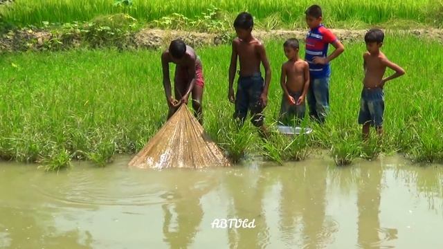 Best Net Fishing | Traditional Village Net Fishing | Fishing with cast net by Village People смотреть онлайн