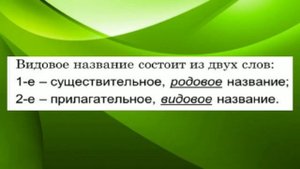 Классификация царства растений
