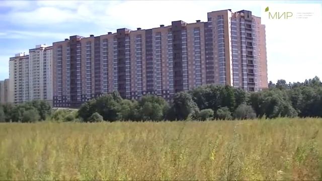 Мурино Новостройки