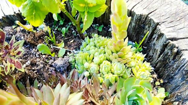 Июньский недельный влог 2 смотреть онлайн