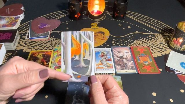 Что Вы должны знать прямо сейчас? Подсказки Вселенной ?