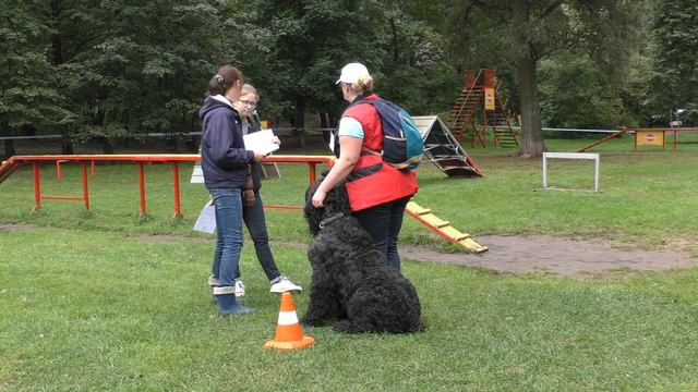 Чемпионат НКП "Русский чёрный терьер" 2016 г. по ОКД и ЗКС. смотреть онлайн