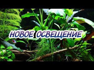 НОВОЕ ОСВЕЩЕНИЕ В АКВАРИУМЕ НА 140 ЛИТРОВ. ПОДРОБНЕЕ О ЛАМПЕ.