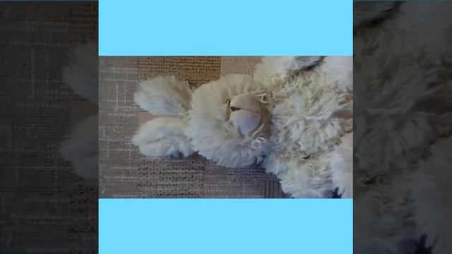 Короче говоря сон| БАСИК ТВ смотреть онлайн