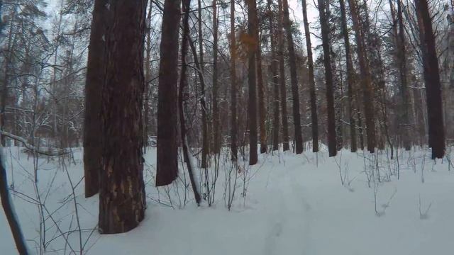 Тесты стабилизации изображения камеры FireFly 6s - 2k смотреть онлайн