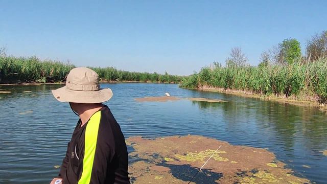 Прекрасный день, проведённый в компании младшего сына и его девушки.