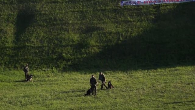 Питомник "рабочие собаки"  показательны выступления крепость