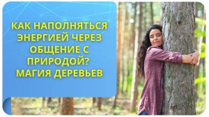 Как наполняться энергией через общение с природой? Магия деревьев