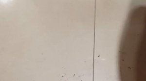 дешевый антифриз- последствия