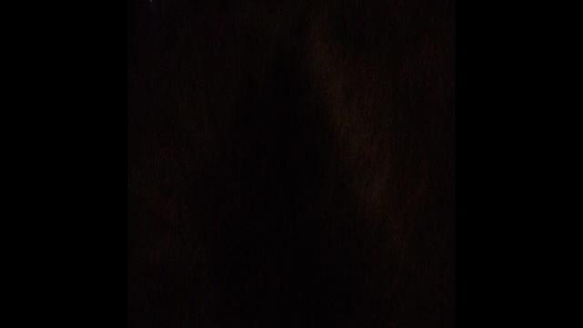 Странные звуки.???