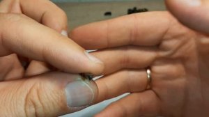 Поломка выбрасывателя ПМ-Т. Отрыв капсюля от патронов ТК 9 мм р.а.