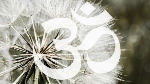 Hari Om Namo Narayana Mantra – Beautiful Indian Mantra