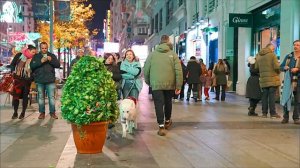 Bushman Prank: Scaring People in Gran Vía Street !