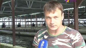 Форелевое хозяйство в Солох-Ауле дает 50 тонн рыбы в год