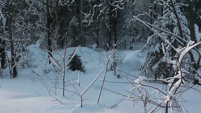 Ив Набиев.Фанвидео.Увезу тебя я в тундру.... смотреть онлайн
