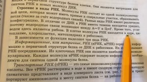 Биология/10/Тема 11: Нуклеиновые кислоты.АТФ/18.01.24 10:45