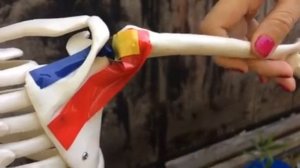 Витёк Пикчерз презент: надостная и подостная мышцы