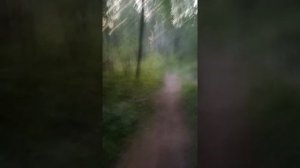 Поездка на мотоцикле Урал