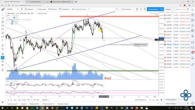 Криптовалюта, форекс, акции, фортс - еженедельный обзор рынков 12 - 18 ноября смотреть онлайн