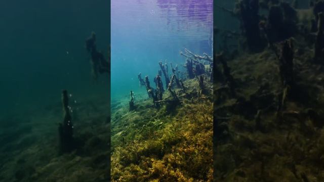 прозрачное озеро с пресной водой в подмосковье дайвинг