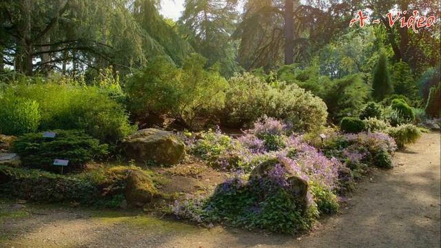 ?Ландшафтный дизайн Лучшие композиции для вашего сада / Best Garden Decorating Ideas / A - Video смотреть онлайн