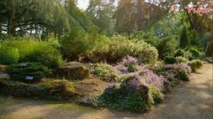 ?Ландшафтный дизайн Лучшие композиции для вашего сада / Best Garden Decorating Ideas / A - Video