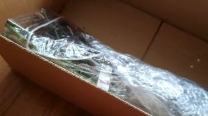 Посылка роз из питомника Бутримовых 2022