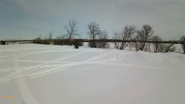 Arctic Cat Cougar 440 смотреть онлайн