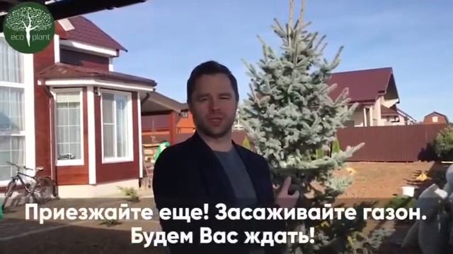 Виталий Гогунский о компании Экоплант