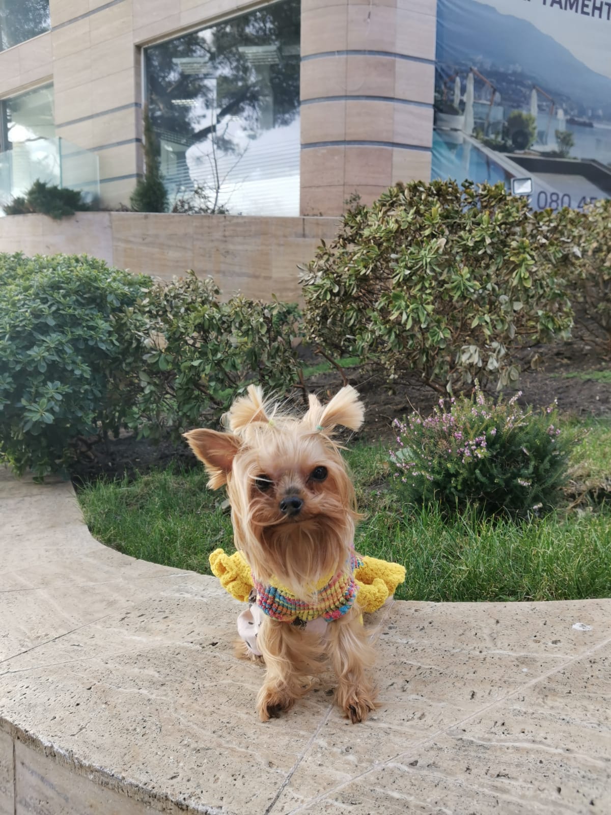 ОПЯТЬ НА МАНЕЖЕ ВСЁ ТЕ ЖЕ    КАК ВЕДЁТ СЕБЯ ЖЕНЩИНА ПОСЛЕ ПРИНЯТИЯ ВАННЫ.mp4