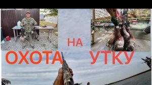 ОХОТА НА УТКУ/ЛУЧШАЯ за ДВА ГОДА/28.10.23