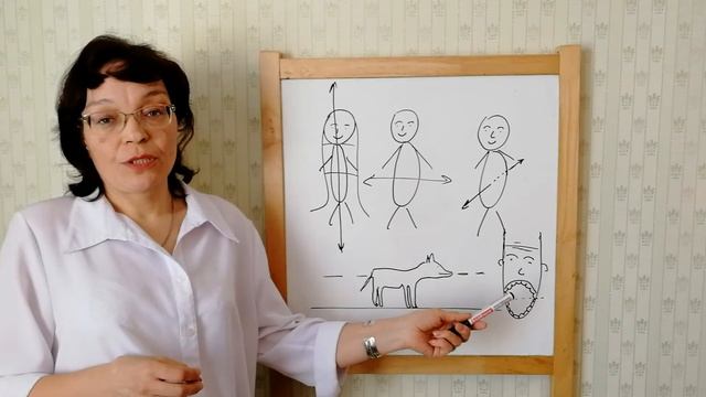 Су Джок Урок 13. системы соответствия животного. смотреть онлайн