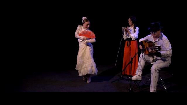 La Memoria del Aire Video Teasser formato trío (Español) смотреть онлайн