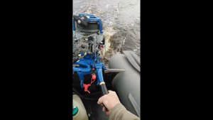 Москва  с китайским карбюратором и самодельным зажиганием