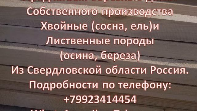 Бизнес с нуля: Основные моменты в выборе поставщика на рынке пиломатериалов