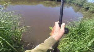 Ловля рыбы на муху, видео rybachil.ru