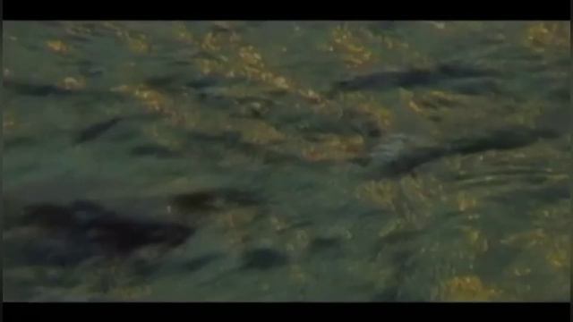 ВСЕ СЛУЧАЕТСЯ ПО БОЖЬЕМУ ПОПУЩЕНИЮ И ДЛЯ ПОЛЬЗЫ ДУШИ..ЧЕМ БОЛЬШЕ МУЧАЮТ, ТЕМ БОЛЬШЕ ВЕНЦОВ СЛАВЫ..