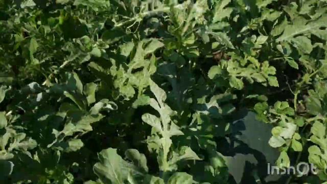 Радиосвязь через сатком в селе Radio communication via satellites satkom смотреть онлайн