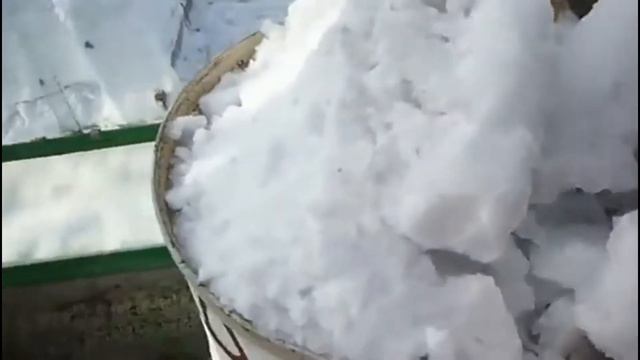 28 февраля, снег в теплицу. ВПЛ. смотреть онлайн