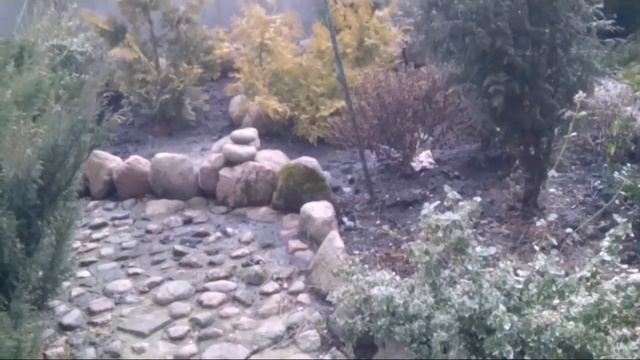 Дробленая щепа- мульча от природы смотреть онлайн