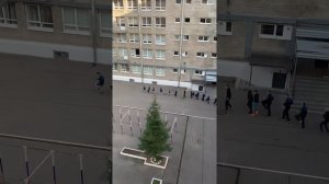 На площадке 14 курсантов, а тренер орет так, будто 400!