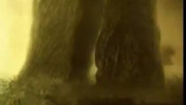 Ежик в тумане (Apocalyptica) смотреть онлайн