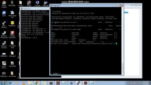 B. (LINUX) NFS file system using hard mount on linux server with intr option