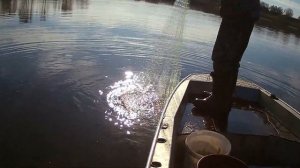 Рыбалка на карася кастинговая сеть испанка и американка