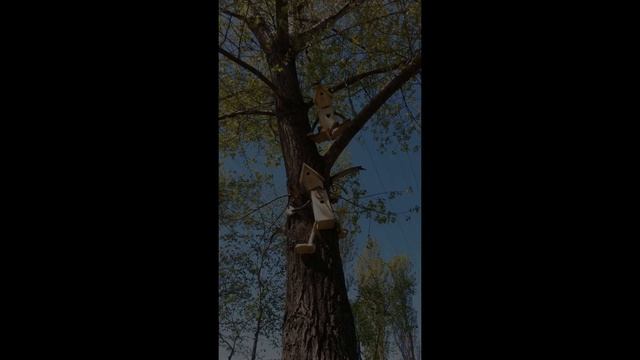 Creative Bird House Ideas - DIY Garden Decoration Ideas смотреть онлайн