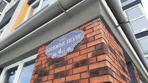 ЖК ЛОМОНОСОВ РЯЗАНЬ ПРИСВОЕНТ ПОЧТОВЫЙ АДРЕС КНЯЖЬЕ ПОЛЕ ДОМ 4 КОРП 1. ТЕЛКОВ СЕРГЕЙ ВАЛЕРИЕВИЧ