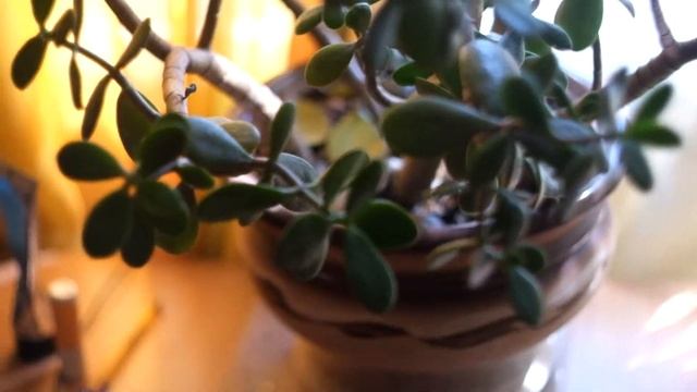 гелиос 77 смотреть онлайн